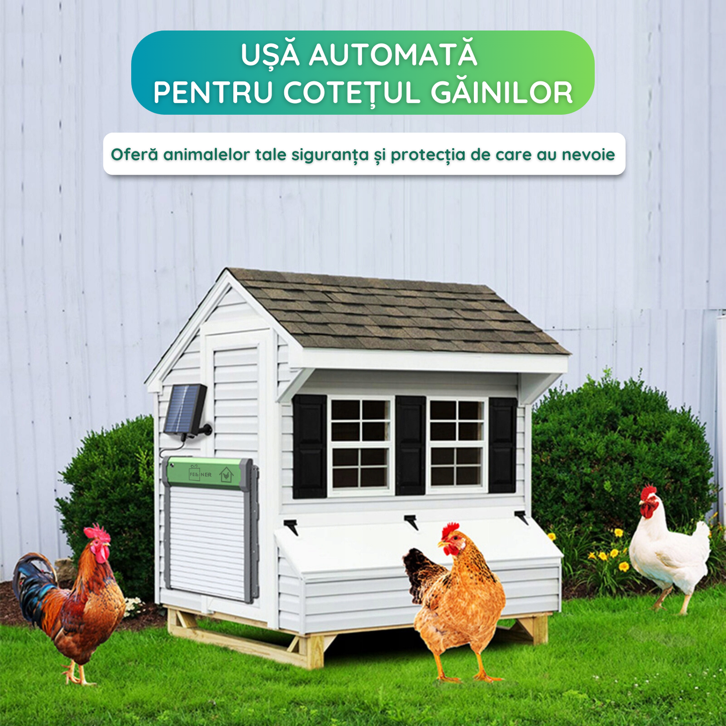 Usa automata pentru cotet gaini, alimentare panou solar, telecomanda, temporizator, senzor de lumina, senzor obstacol, control telecomanda, impermeabil IP67, verde