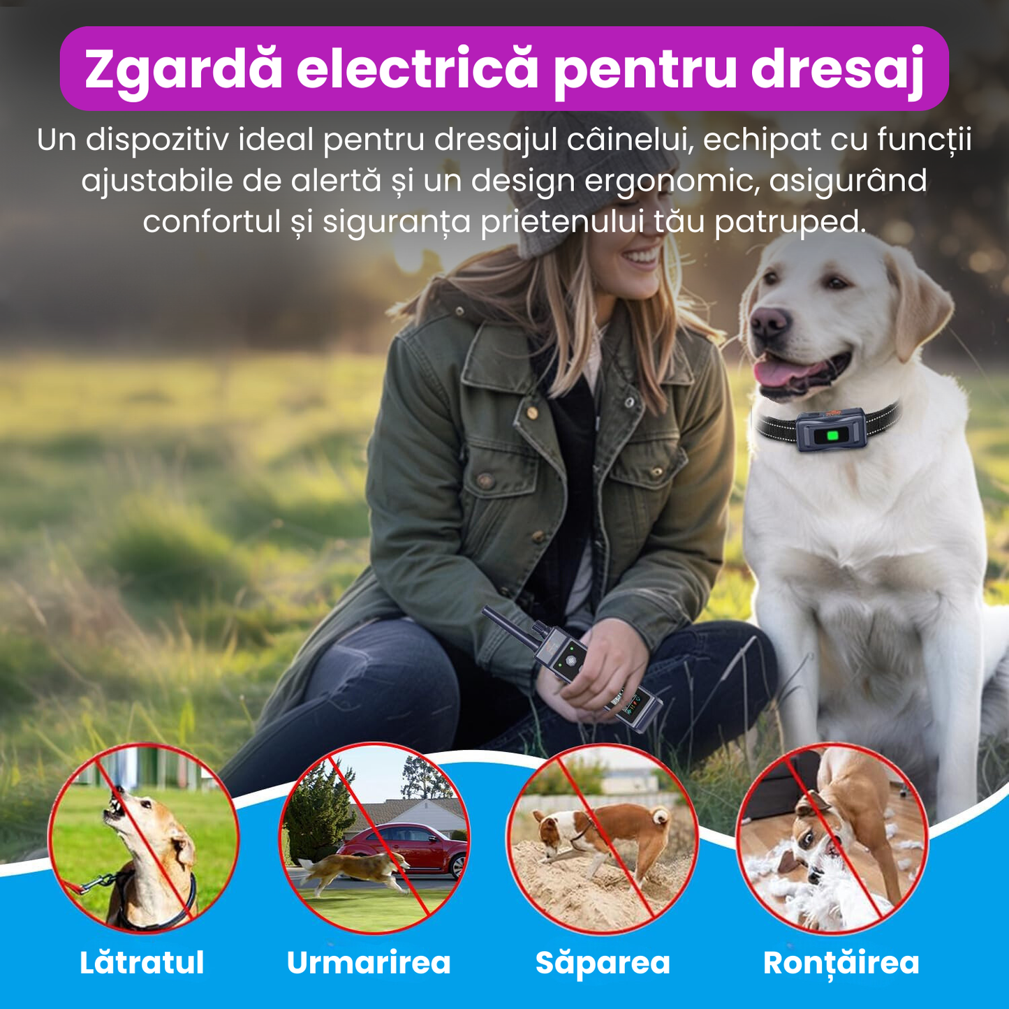 Zgarda electrica pentru dresaj caini, baterie 500 mAh, reincarcabila, raza 1300 m, 3 moduri de antrenament, rezistenta la apa IP67, electrozi cauciucati, protectie piele, reglabila, negru