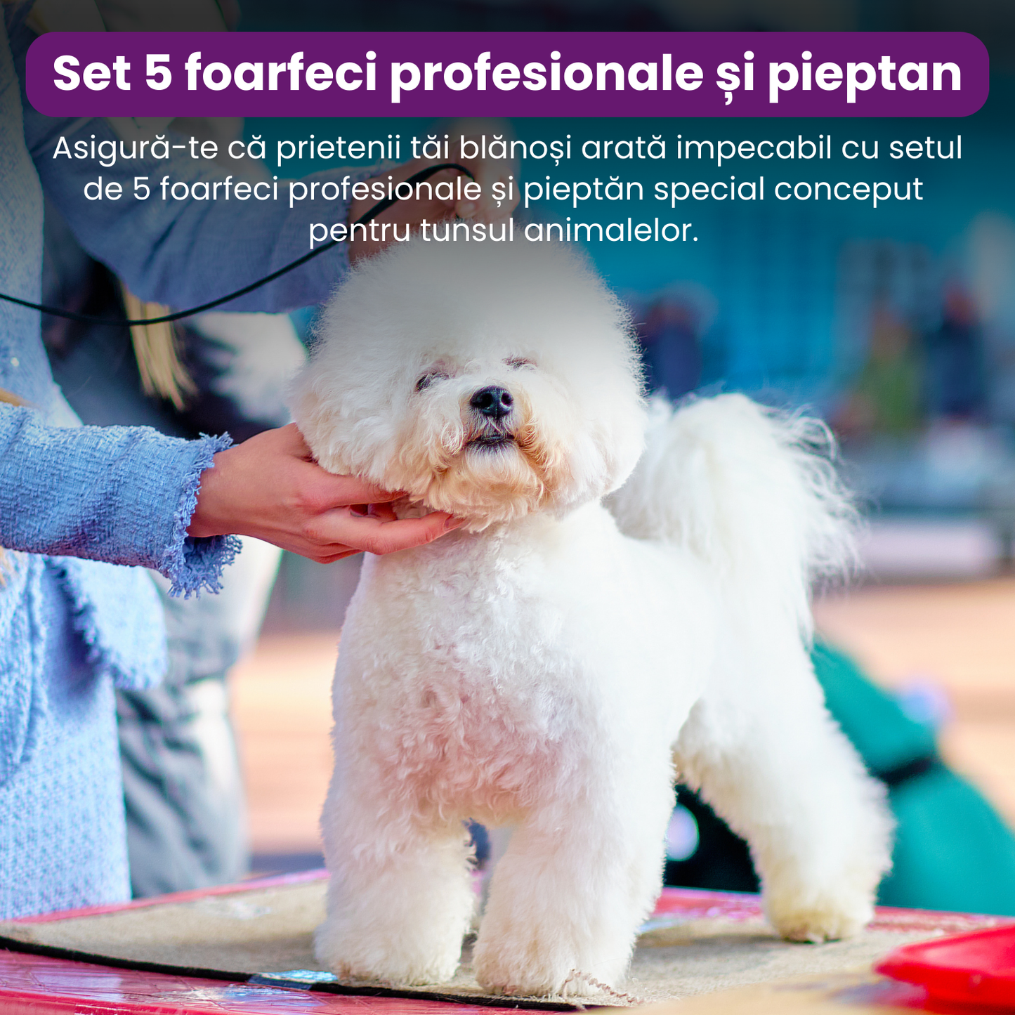 Set de 5 foarfece profesionale pentru tuns animale, cu pieptan si cutie de depozitare, design ergonomic, otel inoxidabil, prevenirea ruginii, rezistent la coroziune, usor de utilizat, auriu