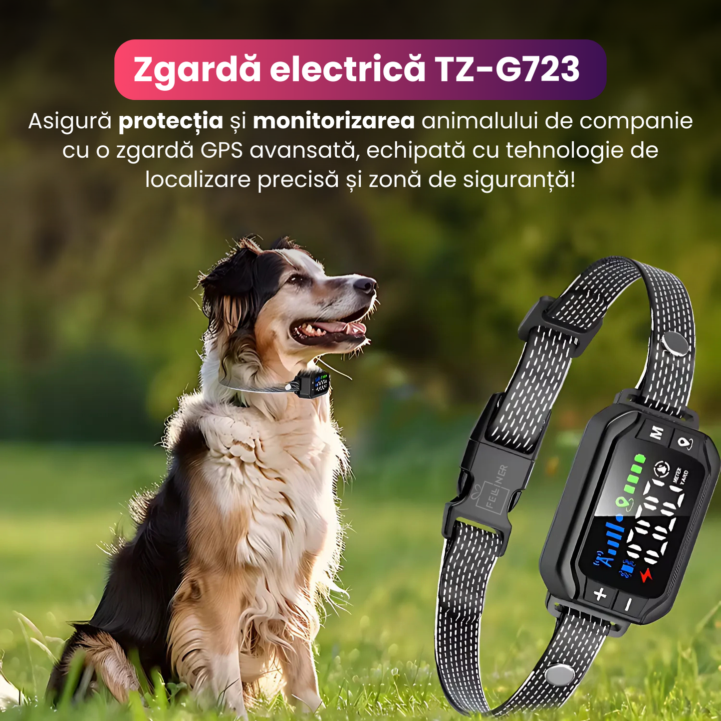 Zgarda electrica inteligenta TZ-G723 pentru caini, GPS, raza 30-914 m, alarma, vibratie/sunet, fara fir, IPX7, baterie 800 mAh, functie anti-pierdere si reintoarcere automata, negru