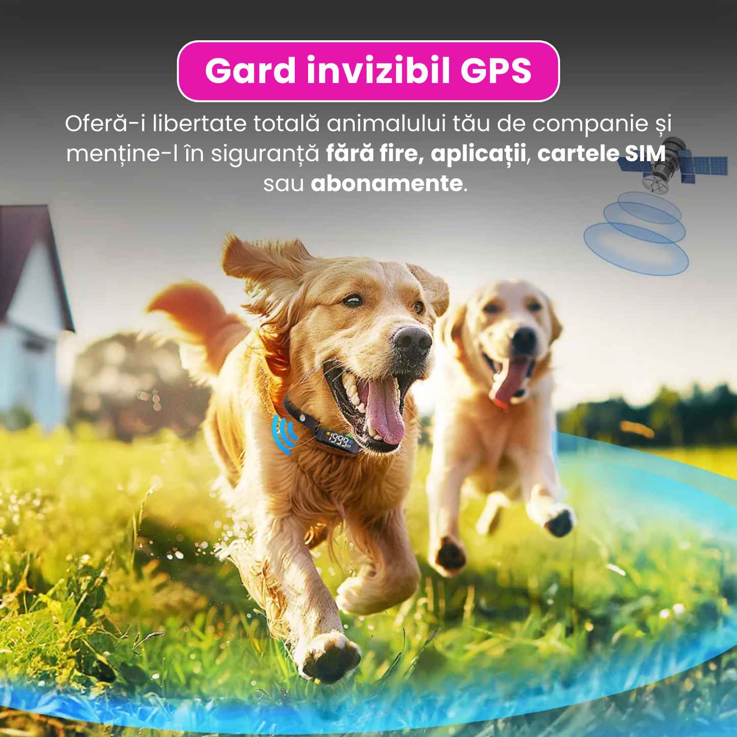 Zgarda electrica GPS pentru caini, sistem inteligent de gard invizibil cu vibratii si soc, raza de actiune 914m, ecran LED color, baterie reincarcabila 800mAh, rezistenta la apa IPX7, fara aplicatie, SIM sau abonament, negru