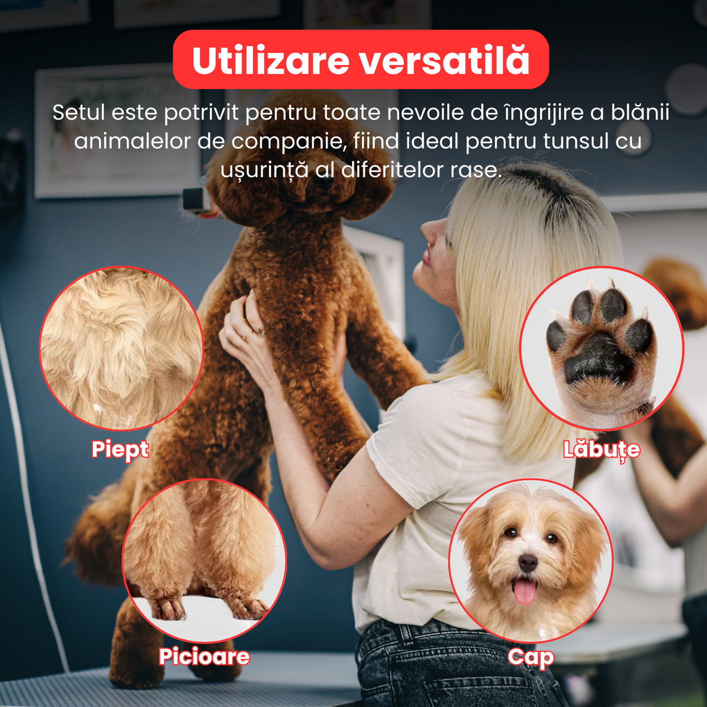 Set de 3 foarfece profesionale pentru tuns animale, cu pieptan si cutie de depozitare, design ergonomic, otel inoxidabil, prevenirea ruginii, rezistent la coroziune, usor de utilizat, rosu