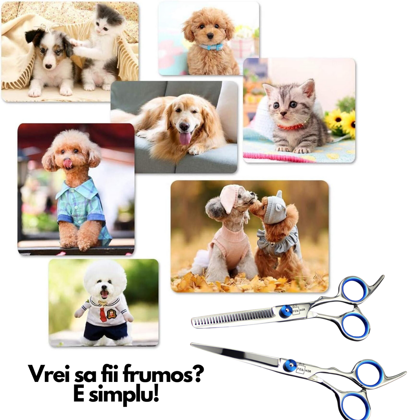 Set 2 foarfece profesionale pentru ingrijirea cainilor, piepten, geanta transport, otel, 15cm, Felliner, albastru