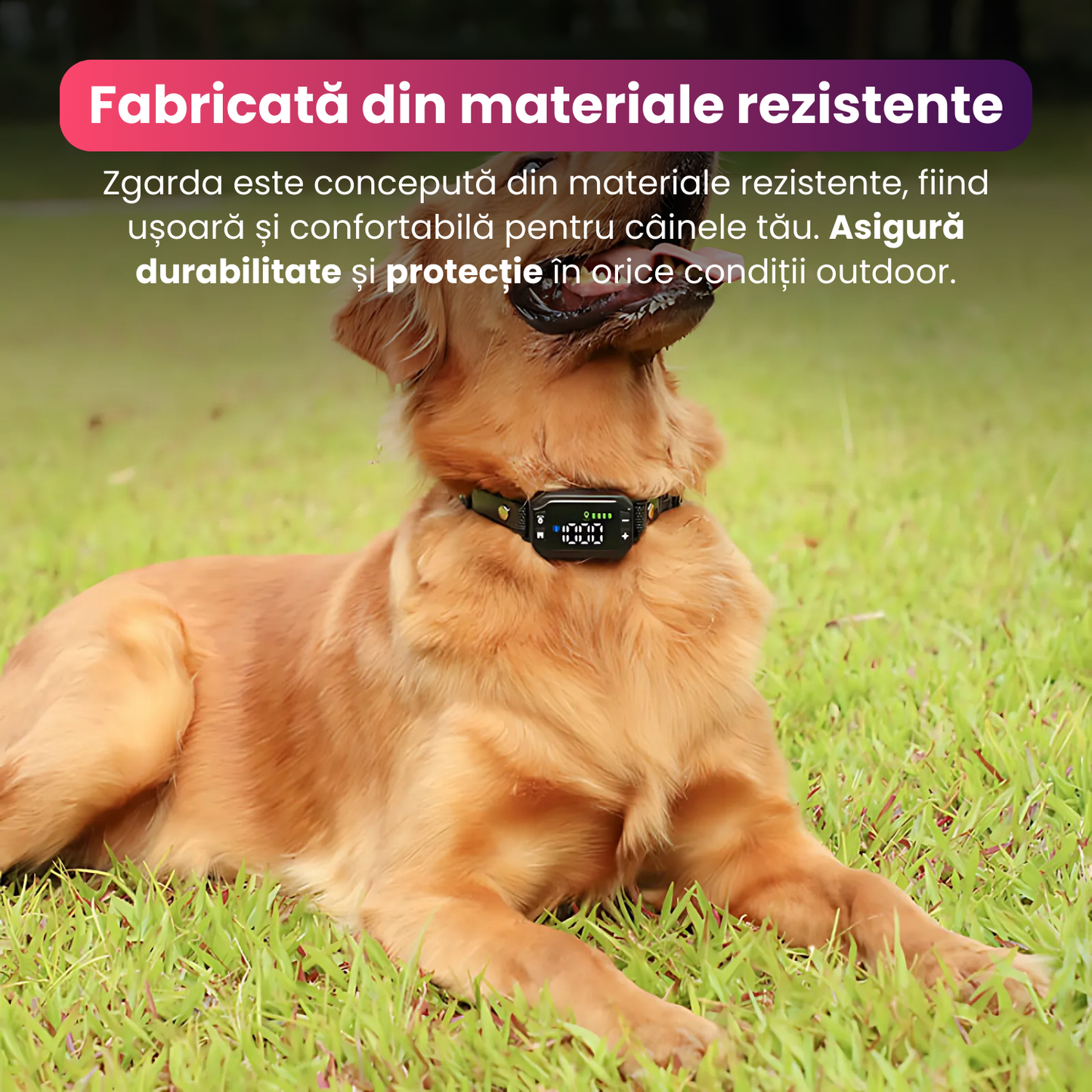 Zgarda electrica inteligenta TZ-G723 pentru caini, GPS, raza 30-914 m, alarma, vibratie/sunet, fara fir, IPX7, baterie 800 mAh, functie anti-pierdere si reintoarcere automata, negru