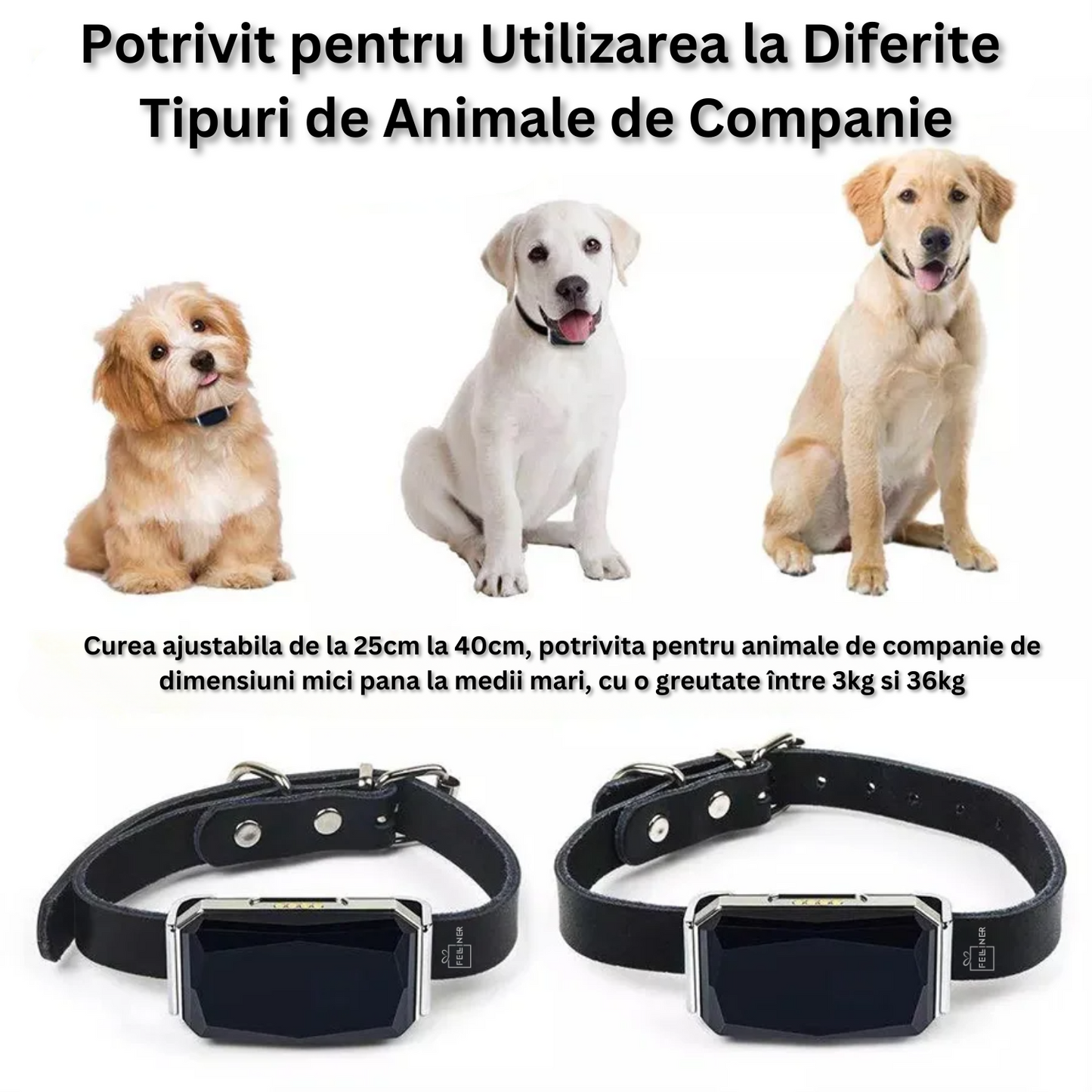 Zgarda inteligenta cu localizare pentru animale, GPS tracker, Felliner, rezistenta la apa, monitorizare prin aplicatie, Negru