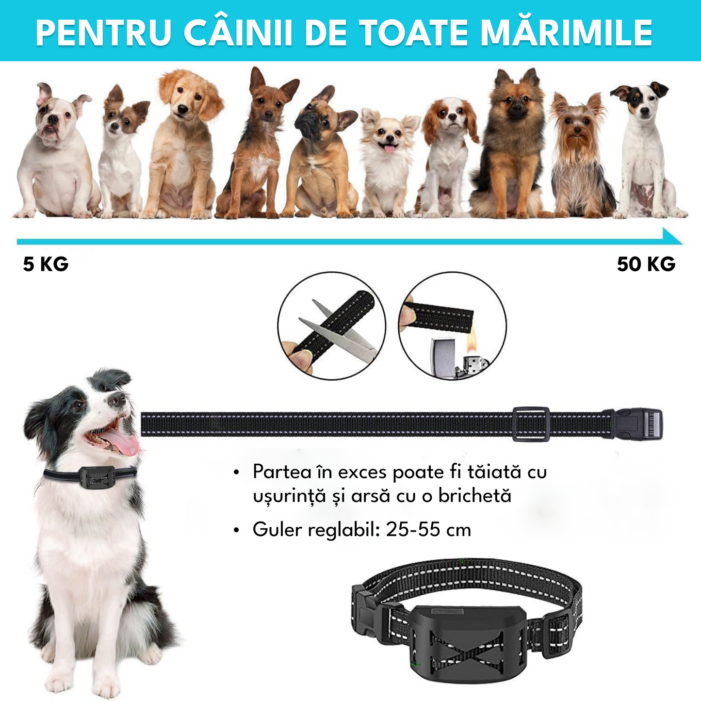 Zgarda electrica dresaj pentru 2 caini, TZ-H0-S24, gard electronic, raza actiune 260 metrii, gard electronic, rezistent la apa IPX65, impuls electrostatic, vibratie si localizare, semnal 2.4G, autonomie 170 zile, negru