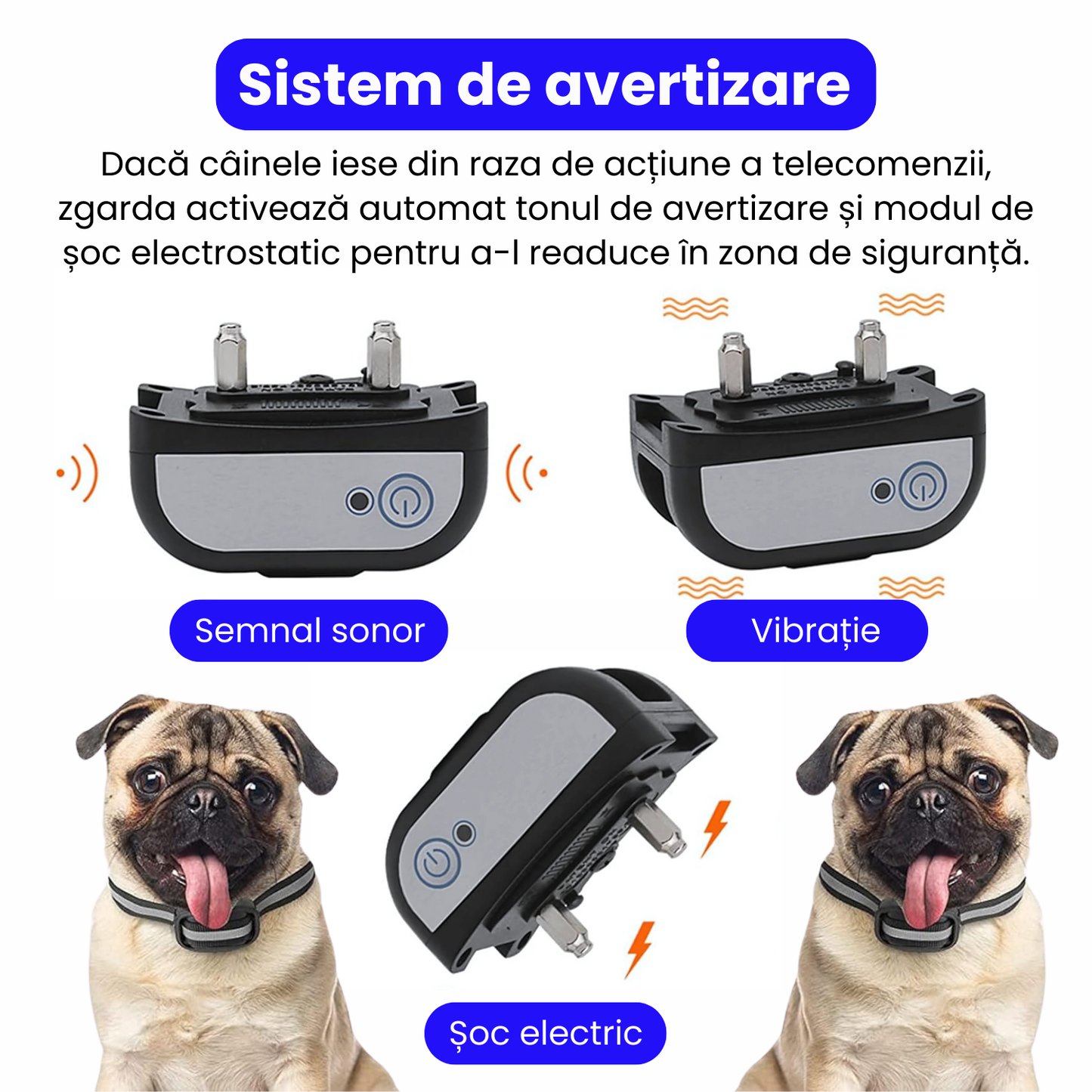 Sistem complet de gard invizibil pentru 3 caini, cu transmitator si zgarda reincarcabila, rezistenta la apa IP67, raza de actiune 300 m, baterie 2500 mAh, negru