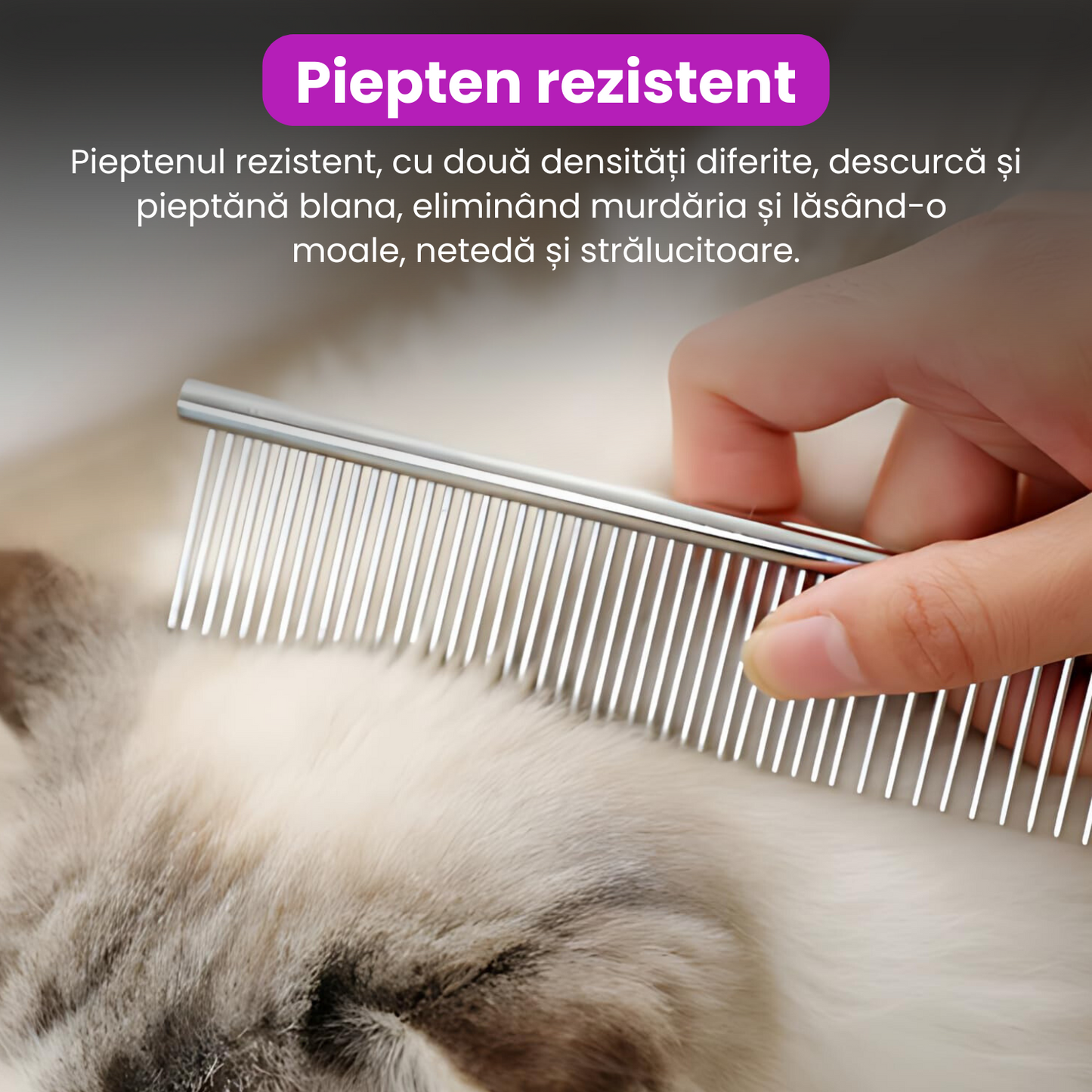 Set de 3 foarfece profesionale pentru tuns animale, cu pieptan si cutie de depozitare, design ergonomic, otel inoxidabil, prevenirea ruginii, rezistent la coroziune, usor de utilizat, gri