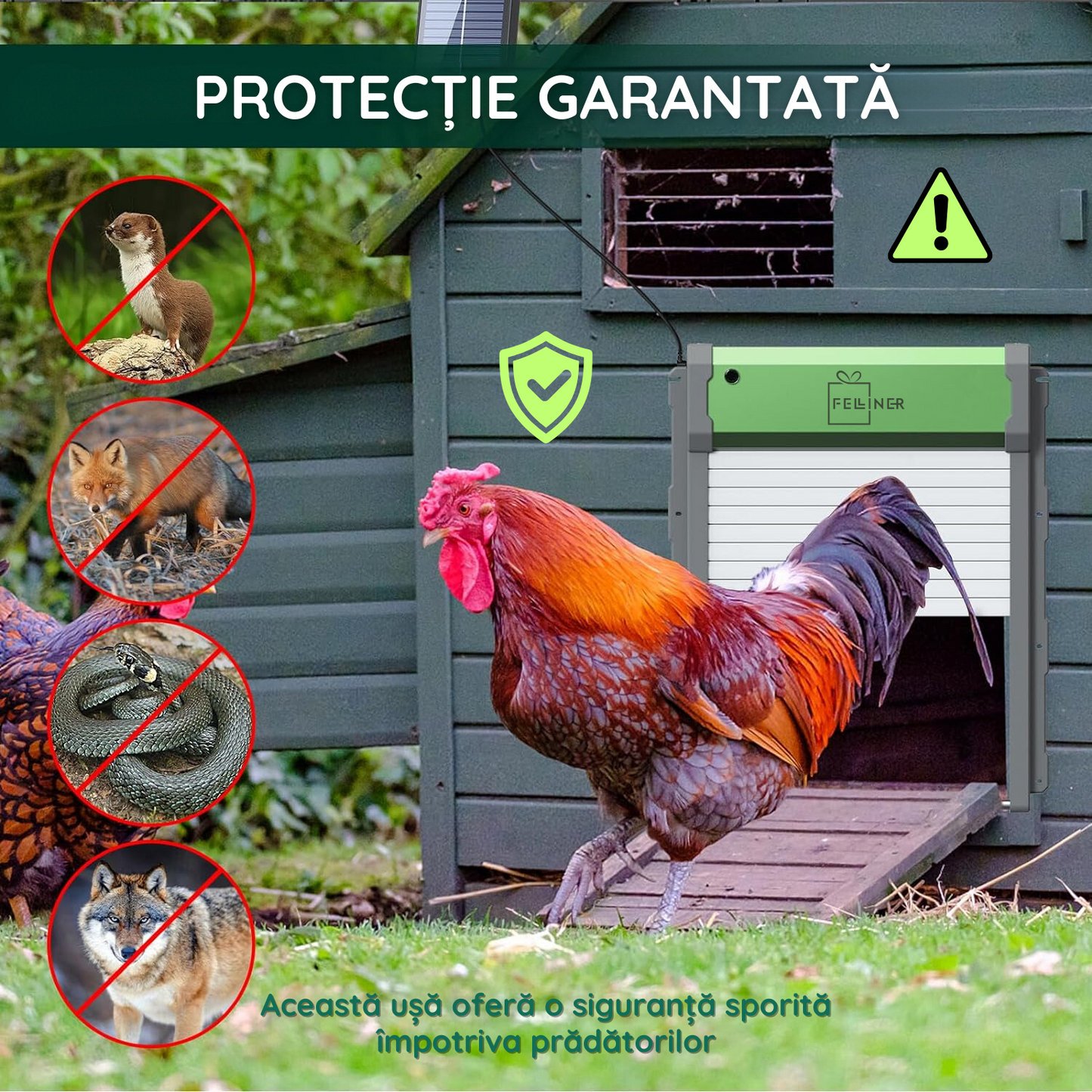Usa automata pentru cotet gaini, alimentare panou solar, telecomanda, temporizator, senzor de lumina, senzor obstacol, control telecomanda, impermeabil IP67, verde