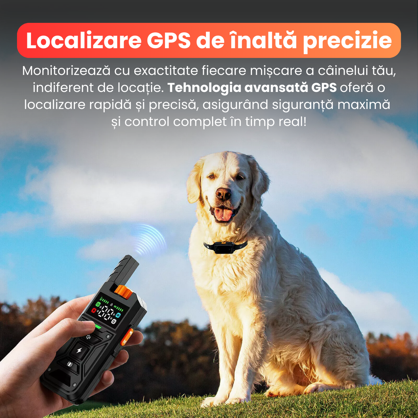 Zgarda electrica 2 in 1 pentru caini, TZ-382, gard wireless + functie de dresaj, raza 10–300m, 3 moduri de corectie sunet, vibratie, soc, baterie 500 mAh, rezistenta la apa IPX7, negru