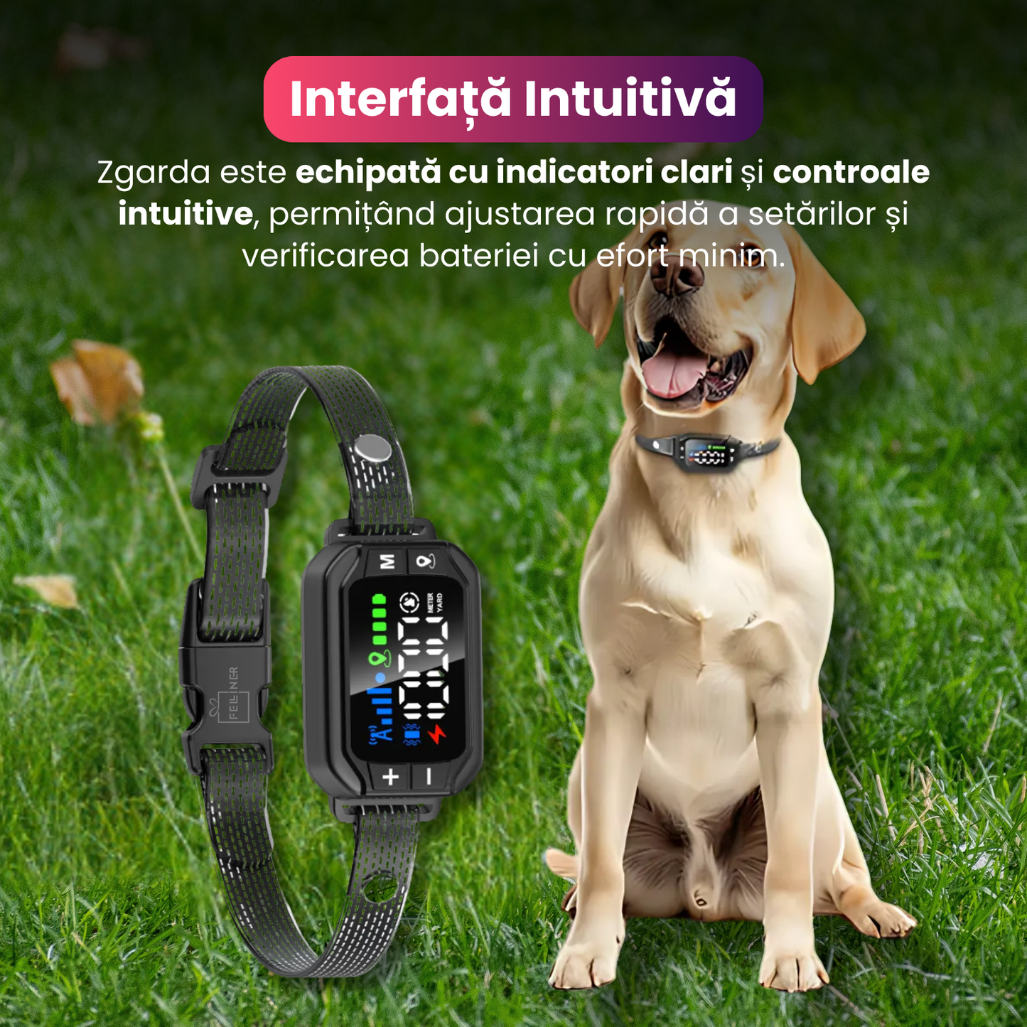 Zgarda electrica inteligenta TZ-G723 pentru caini, GPS, raza 30-914 m, alarma, vibratie/sunet, fara fir, IPX7, baterie 800 mAh, functie anti-pierdere si reintoarcere automata, negru