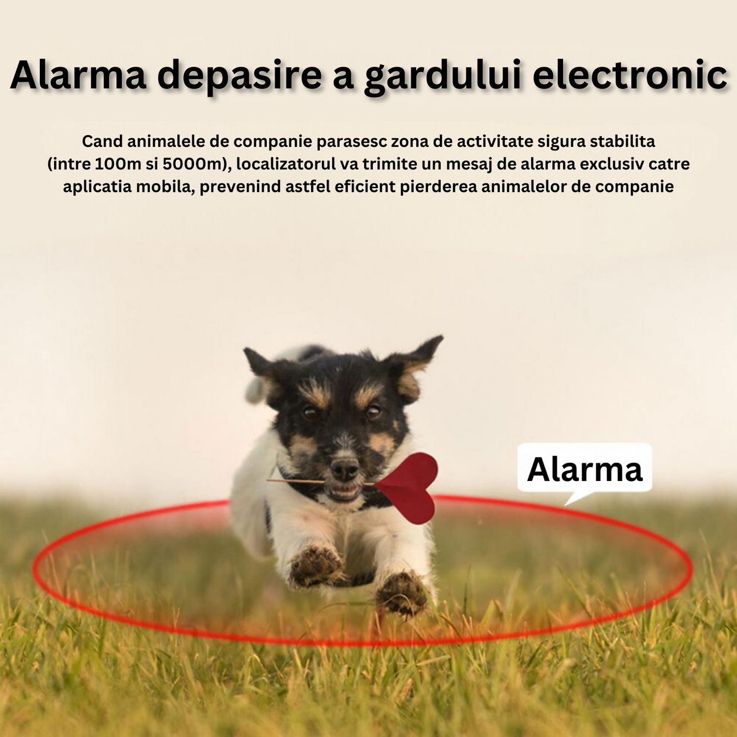 Zgarda inteligenta cu localizare pentru animale, GPS tracker, Felliner, rezistenta la apa, monitorizare prin aplicatie, Negru