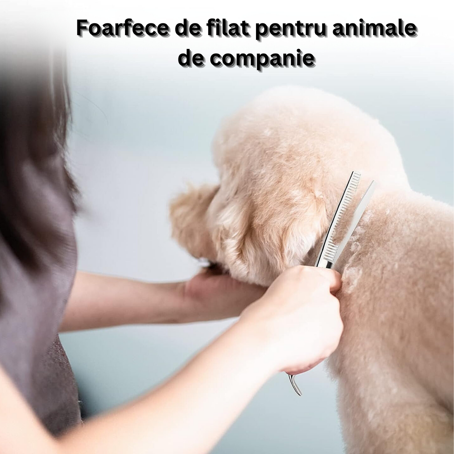 Set 2 foarfece profesionale pentru ingrijirea cainilor, piepten, geanta transport, otel, 15cm, Felliner, albastru