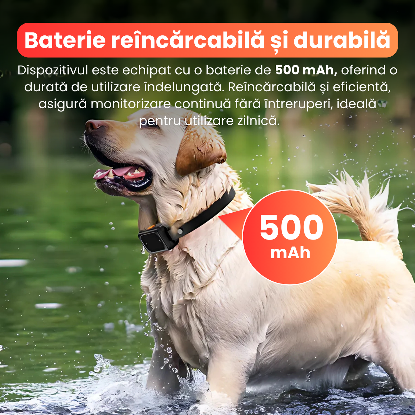 Zgarda electrica 2 in 1 pentru caini, TZ-382, gard wireless + functie de dresaj, raza 10–300m, 3 moduri de corectie sunet, vibratie, soc, baterie 500 mAh, rezistenta la apa IPX7, negru