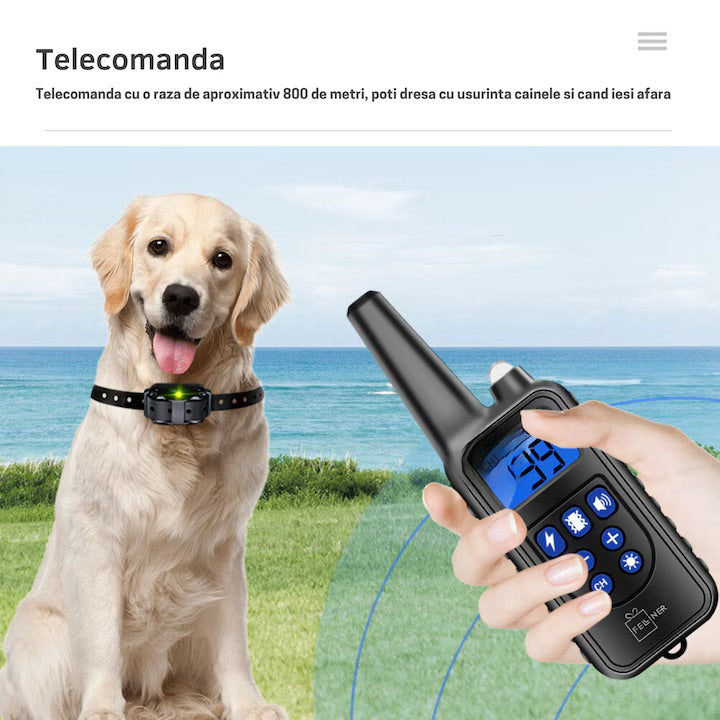 Zgarda electrica reincarcabila pentru dresaj, pentru 3 caini, 800m, rezistenta la apa si praf, 99 de nivele, electrozi cauciucati pentru protectia pielii, circumferinta reglabila 21-68 cm