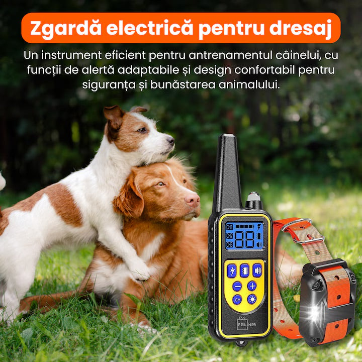 Zgarda electrica reincarcabila pentru dresaj, raza de actiune 800m, rezistenta la ploaie si praf IP67, circumferinta reglabila 21-68 cm, autonomie mare, portocaliu