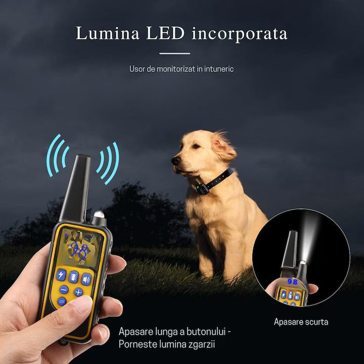 Zgarda electrica reincarcabila pentru dresaj, pentru 3 caini, 800m, rezistenta la apa si praf, 99 de nivele, electrozi cauciucati pentru protectia pielii, circumferinta reglabila 21-68 cm