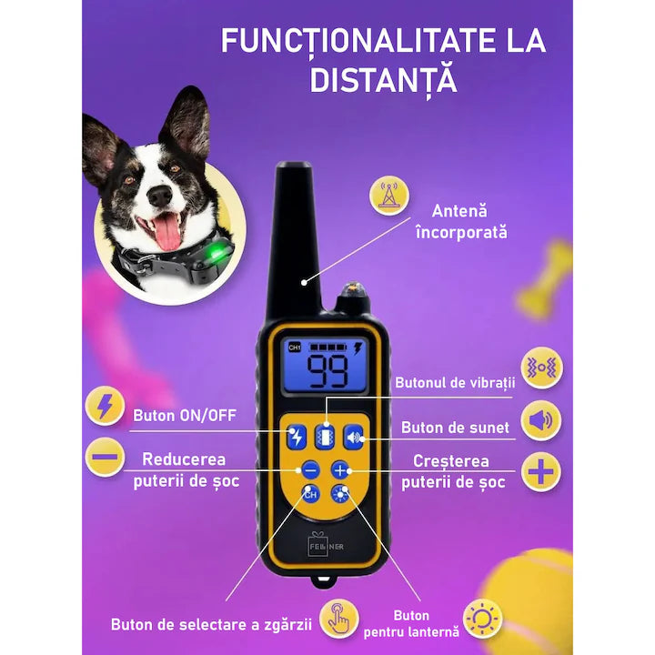 Zgarda electrica profesionala pentru dresaj, pentru 2 caini, reincarcabila, 800m raza actiune, rezistenta la apa si praf, electrozi cauciucati, protectie piele caine, circumferinta reglabila 21-68 cm, portocaliu