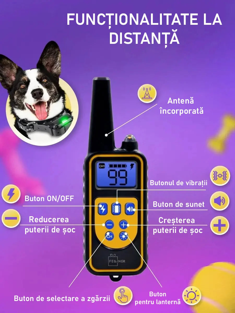 Zgarda electrica profesionala pentru dresaj, pentru 2 caini, reincarcabila, 800m raza actiune, rezistenta la apa si praf, electrozi cauciucati, protectie piele caine, circumferinta reglabila 21-68 cm,
