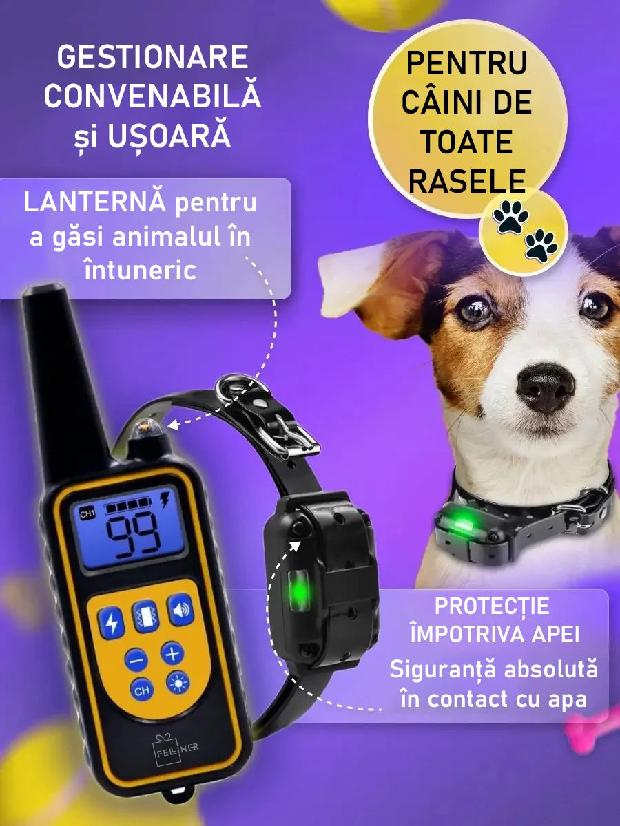 Zgarda electrica profesionala pentru dresaj, pentru 3 caini, reincarcabila, 800m raza actiune, rezistenta la apa si praf, electrozi cauciucati, protectie piele caine, circumferinta reglabila 21-68 cm,