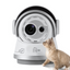Robot inteligent cu camera dubla, jucarie pentru caini si pisici, 5G, comunicare bidirectionala, aplicatia PickFun, camp vizual 360°, gri