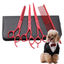 Set de 3 foarfece profesionale pentru tuns animale, cu pieptan si cutie de depozitare, design ergonomic, otel inoxidabil, prevenirea ruginii, rezistent la coroziune, usor de utilizat, rosu