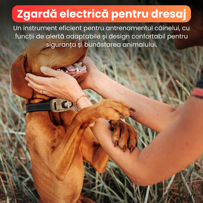 Zgarda electrica pentru dresaj caini, 4 moduri de antrenament, 99 nivele de vibratii, baterie 300 mAh, raza actiune 800 m, IP67, protectie piele, electrozi cauciucati, camuflaj-galben