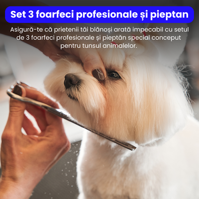 Set de 3 foarfece profesionale pentru tuns animale, cu pieptan si cutie de depozitare, design ergonomic, otel inoxidabil, prevenirea ruginii, rezistent la coroziune, usor de utilizat, auriu