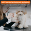 Set de 3 foarfece profesionale pentru tuns animale, cu pieptan si cutie de depozitare, design ergonomic, otel inoxidabil, prevenirea ruginii, rezistent la coroziune, usor de utilizat, negru