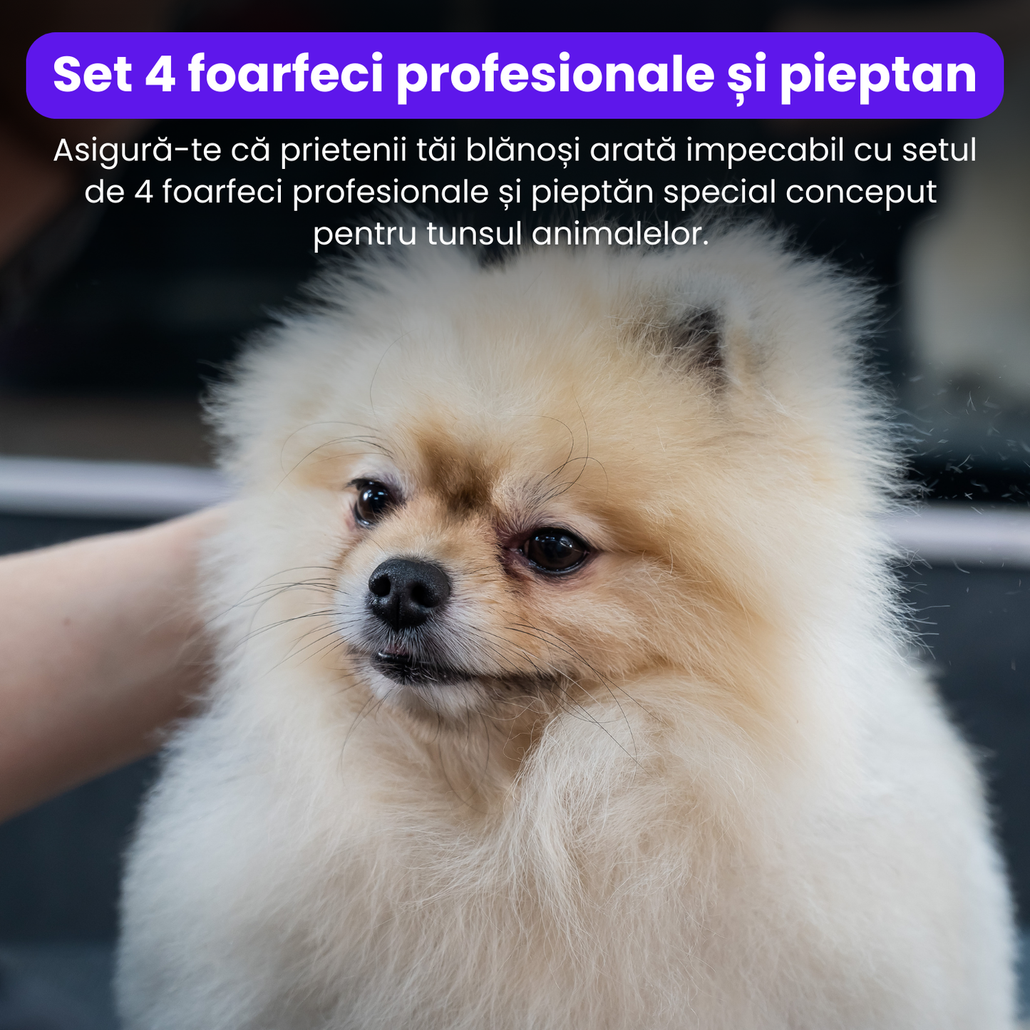 Set de 4 foarfece profesionale pentru tuns animale, cu pieptan si cutie de depozitare, design ergonomic, otel inoxidabil, prevenirea ruginii, rezistent, usor de utilizat, bleumarin