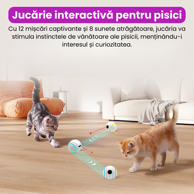 Jucarie smart interactiva pentru pisici, camera duala 4K, comunicare bidirectionala, baterie 800 mAh, rotire 360°, incarcare USB, alb