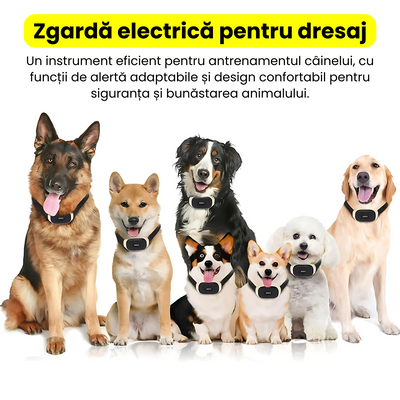 Zgarda electrica profesionala de dresaj, ajustabila, reincarcabila, 600m control de la distanta, alerta sunet, vibrare, soc, IP67, fluier dresaj inclus, telecomanda control, negru