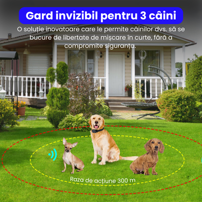 Sistem complet de gard invizibil pentru 3 caini, cu transmitator si zgarda reincarcabila, rezistenta la apa IP67, raza de actiune 300 m, baterie 2500 mAh, negru