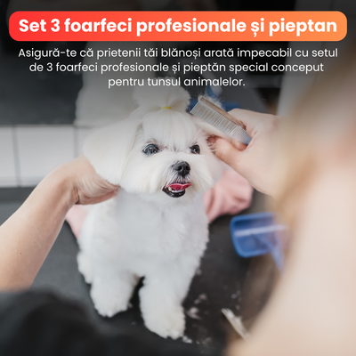 Set de 3 foarfece profesionale pentru tuns animale, cu pieptan si cutie de depozitare, design ergonomic, otel inoxidabil, prevenirea ruginii, rezistent la coroziune, usor de utilizat, roz