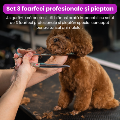 Set de 3 foarfece profesionale pentru tuns animale, cu pieptan si cutie de depozitare, design ergonomic, otel inoxidabil, prevenirea ruginii, rezistent la coroziune, usor de utilizat, gri