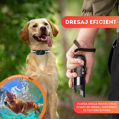 Zgarda electrica profesionala pentru dresaj 4 caini, 600m, rezistenta la apa si praf, reincarcabila, 3 functii, vibratii, soc si sunete, telecomanda, curea reglabila, negru
