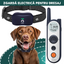 Zgarda electrica dresaj pentru caini, X3, raza actiune 1800 metrii, gard electronic, impuls 30 nivele, vibratie, sunet si localizare, rezistenta la apa, autonomie standby 185 zile, gri