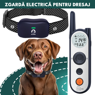 Zgarda electrica dresaj pentru caini, X3, raza actiune 1800 metrii, gard electronic, impuls 30 nivele, vibratie, sunet si localizare, rezistenta la apa, autonomie standby 185 zile, gri