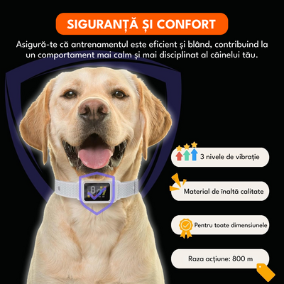Zgarda inteligenta pentru dresaj, raza actiune 800m, 3 functii, rezistent la apa IP67, reglabila, gri