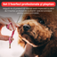 Set de 3 foarfece profesionale pentru tuns animale, cu pieptan si cutie de depozitare, design ergonomic, otel inoxidabil, prevenirea ruginii, rezistent la coroziune, usor de utilizat, rosu