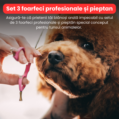 Set de 3 foarfece profesionale pentru tuns animale, cu pieptan si cutie de depozitare, design ergonomic, otel inoxidabil, prevenirea ruginii, rezistent la coroziune, usor de utilizat, rosu