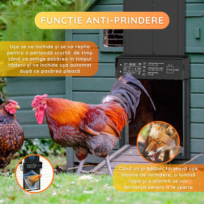 Usa automata pentru cotet gaini, alimenatare panou solar, cu senzor de lumina, telecomanda, temporizator, functie anti-prindere, impermeabilitate IP45, Negru