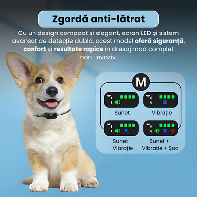 Zgarda antilatrat inteligenta cu senzor dublu, afisaj LED color, 4 moduri de antrenament, reglaj sensibilitate si intensitate, baterie 300 mAh, incarcare USB-C, rezistenta la apa IPX7, negru