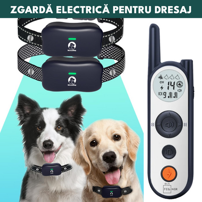 Zgarda electrica dresaj pentru 2 caini, X3, raza actiune 1800 metrii, gard electronic, impuls 30 nivele, vibratie, sunet si localizare, rezistenta la apa, autonomie standby 185 zile, gri