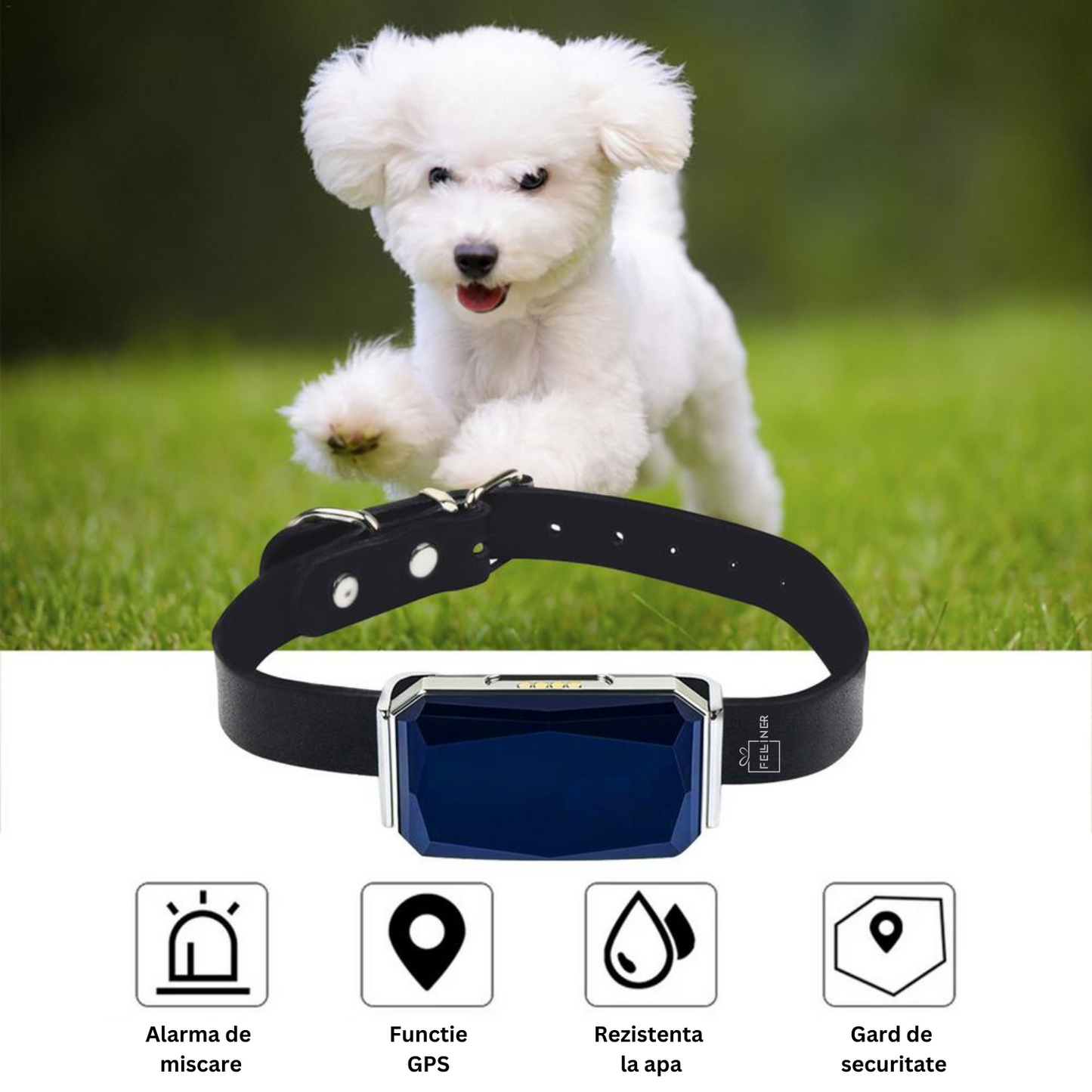 Zgarda inteligenta cu localizare pentru animale, GPS tracker, Felliner, rezistenta la apa, monitorizare prin aplicatie, Negru