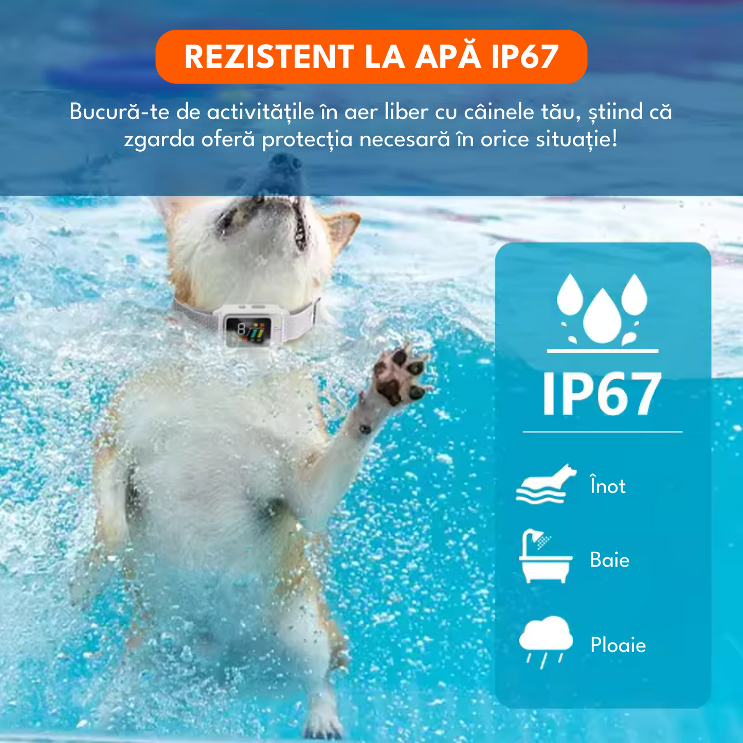 Zgarda inteligenta pentru dresaj, raza actiune 800m, 3 functii, rezistent la apa IP67, reglabila, gri