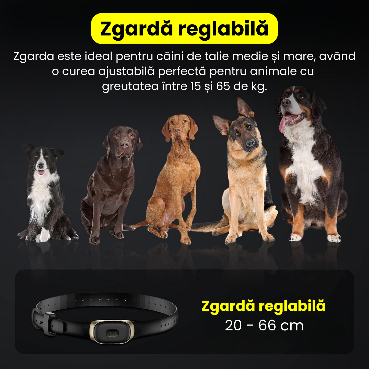 Zgarda electrica profesionala de dresaj, ajustabila, reincarcabila, 600m control de la distanta, alerta sunet, vibrare, soc, IP67, fluier dresaj inclus, telecomanda control, negru