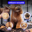 Set de 3 foarfece profesionale pentru tuns animale, cu pieptan si cutie de depozitare, design ergonomic, otel inoxidabil, prevenirea ruginii, rezistent la coroziune, usor de utilizat, auriu