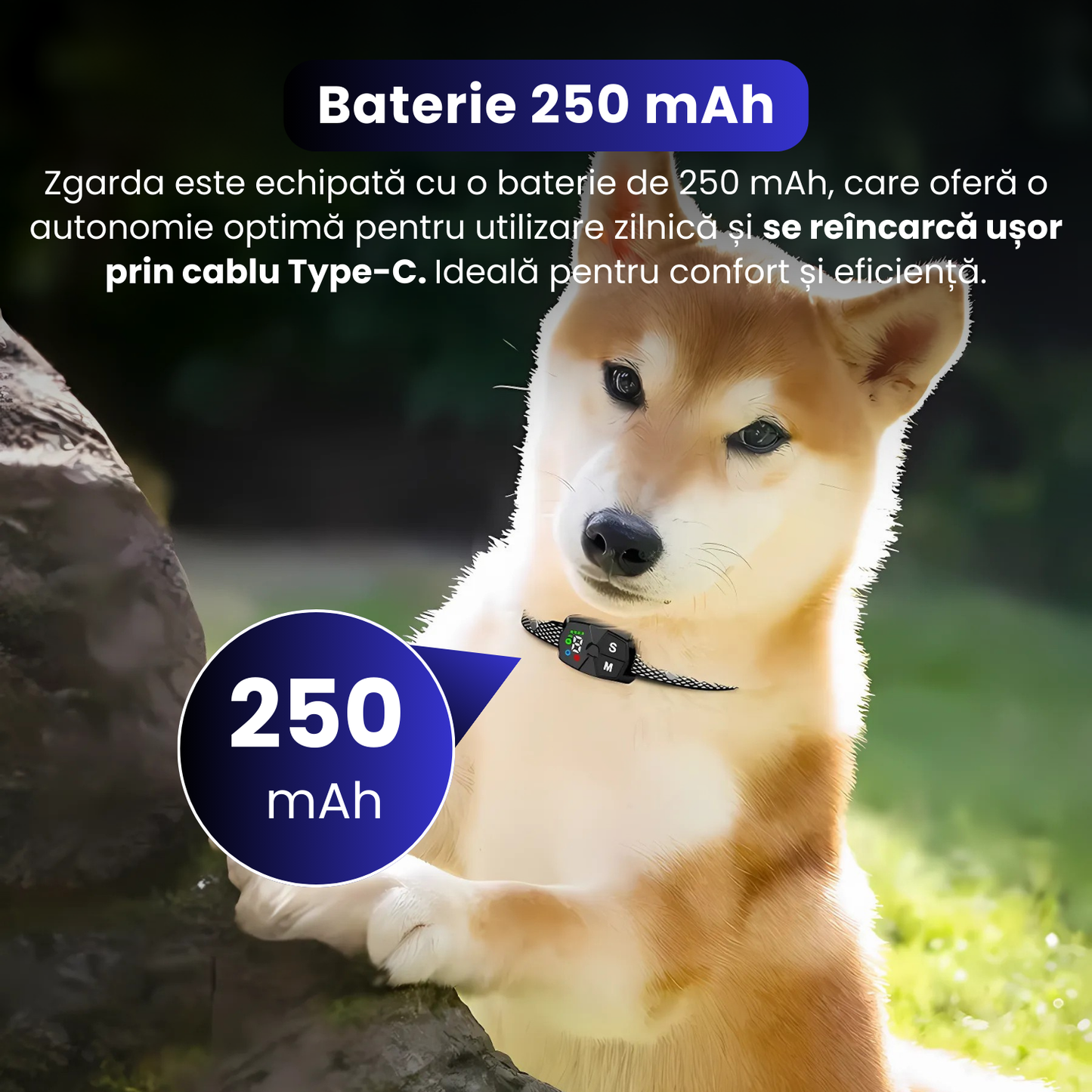 Zgarda anti-latrat, TZ-368, 7 nivele de intensitate, functie automata de oprire a latratului, design ergonomic, baterie reincarcabila de 250 mAh, ecran color, rezistent la apa IP67, negru