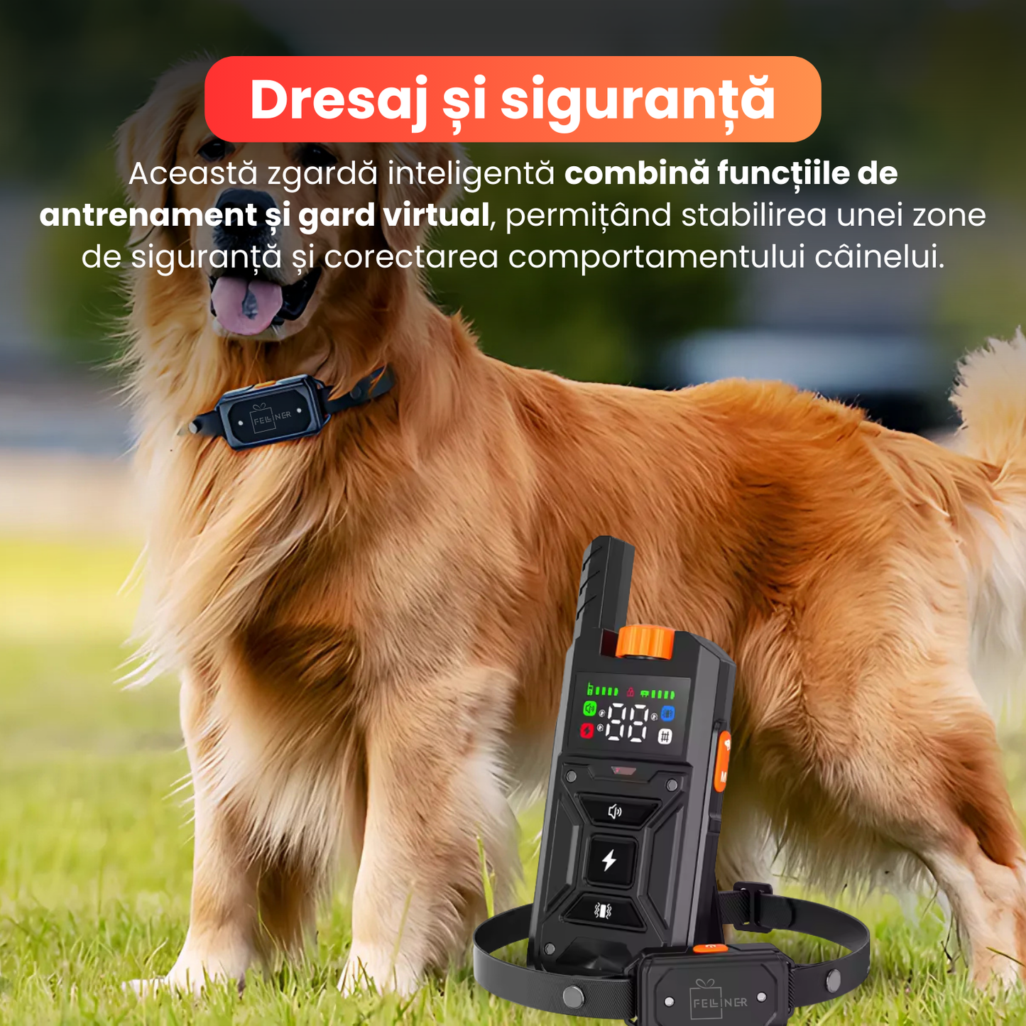 Zgarda electrica 2 in 1 pentru caini, TZ-382, gard wireless + functie de dresaj, raza 10–300m, 3 moduri de corectie sunet, vibratie, soc, baterie 500 mAh, rezistenta la apa IPX7, negru